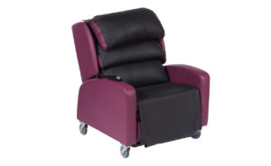 Bariatric Riser Recliner